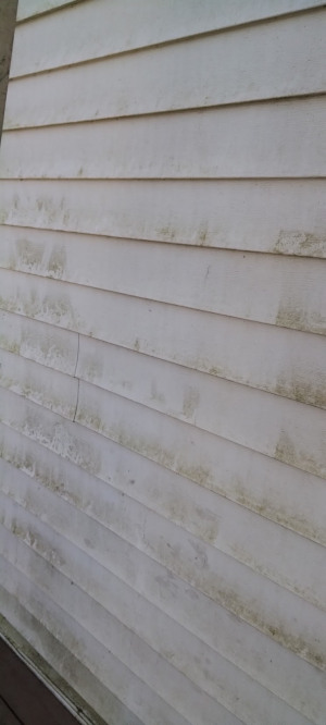 Pressure washing house siding Eugene OR